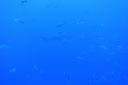 DSC00260.JPG