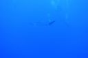 DSC00263.JPG