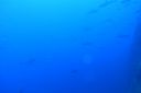 DSC00267.JPG