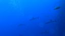 DSC00269.JPG