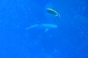 DSC00362.JPG