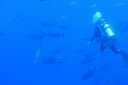 DSC00367.JPG