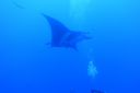 DSC00386.JPG
