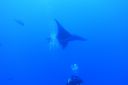 DSC00387.JPG