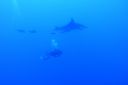 DSC00388.JPG