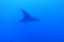 DSC00398.JPG