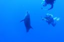 DSC00407.JPG