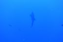 DSC00416.JPG