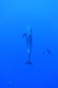 DSC00423.JPG
