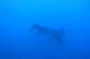 DSC00434.JPG