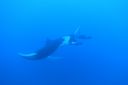 DSC00438.JPG