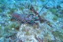 DSC00441.JPG