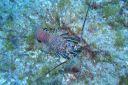 DSC00442.JPG