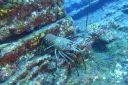 DSC00444.JPG
