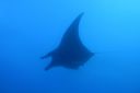 DSC00450.JPG