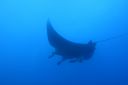 DSC00452.JPG