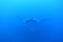 DSC00454.JPG