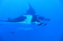 DSC00466.JPG