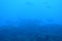 DSC00474.JPG