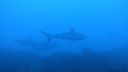 DSC00478.JPG