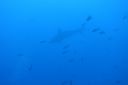 DSC00488.JPG