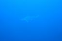 DSC00489.JPG