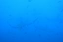 DSC00490.JPG
