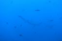 DSC00492.JPG