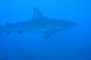 DSC00494.JPG