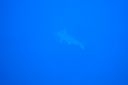 DSC00495.JPG