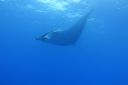 DSC00497.JPG