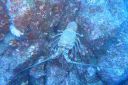 DSC00505.JPG