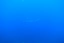 DSC00512.JPG