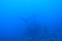 DSC00516.JPG