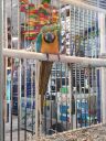 DSC00538.JPG
