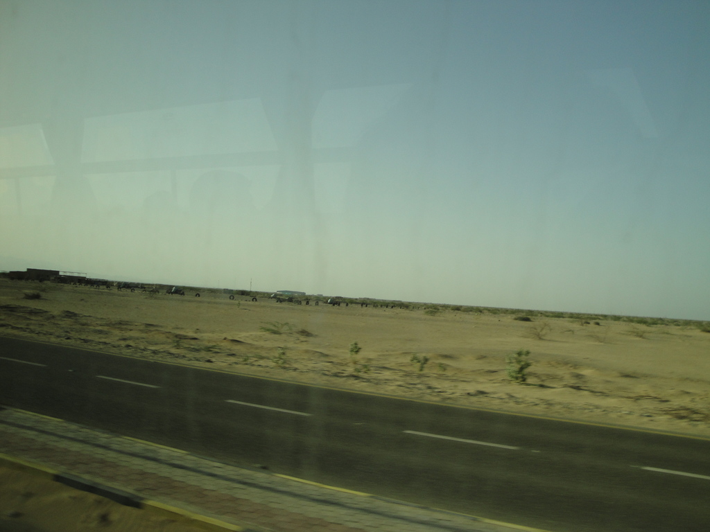 DSC00003.JPG