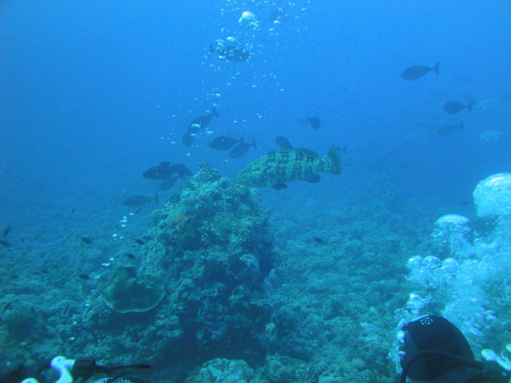 DSC00044.JPG