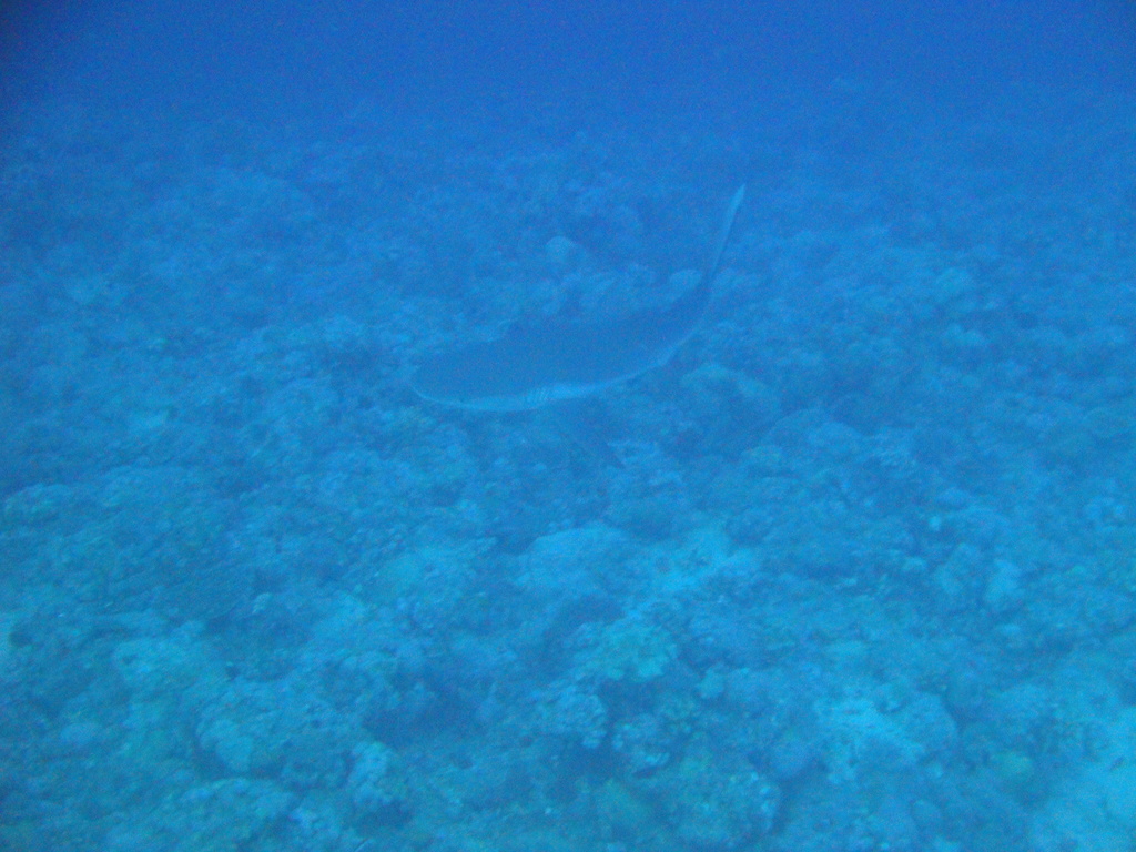 DSC00076.JPG