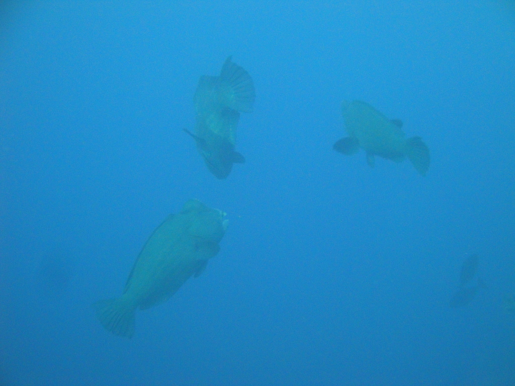 DSC00080.JPG