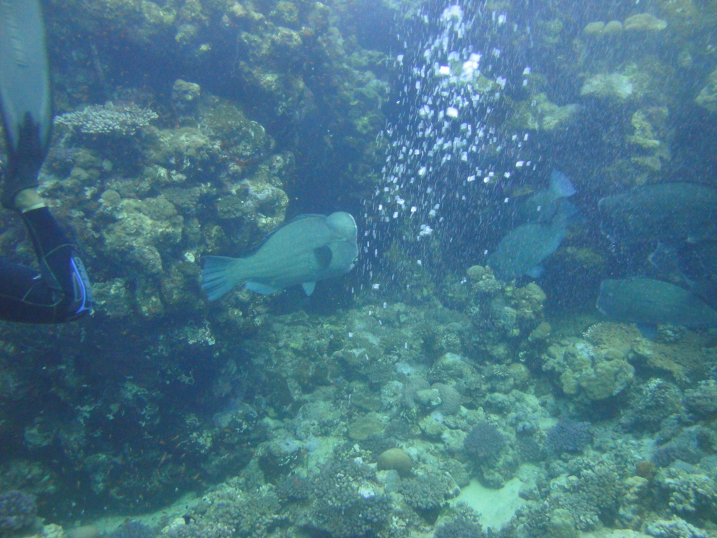 DSC00082.JPG