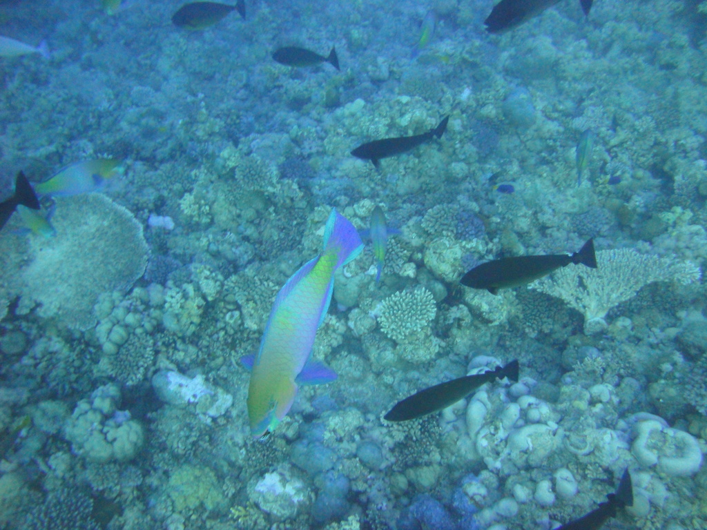 DSC00085.JPG