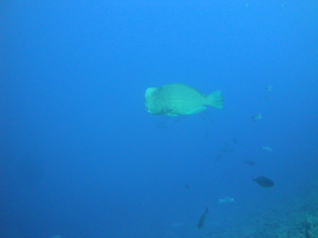 DSC00086.JPG