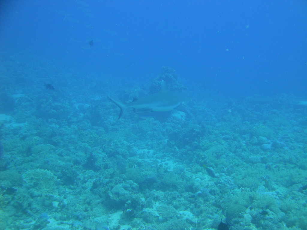 DSC00097.JPG