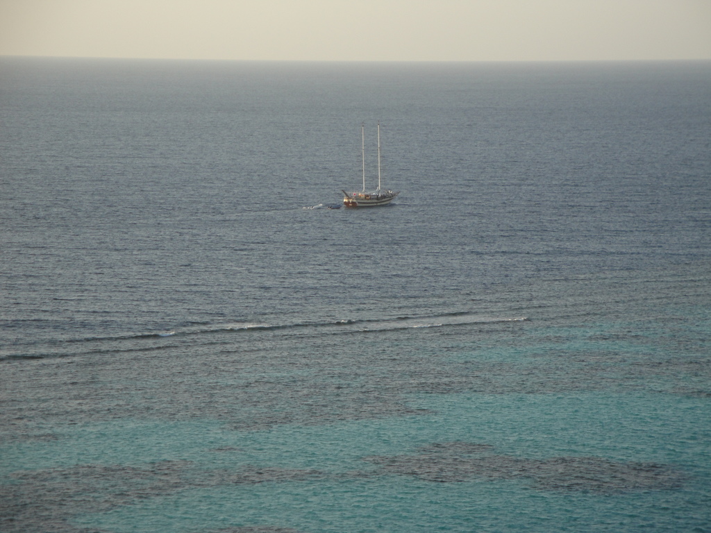 DSC00145.JPG
