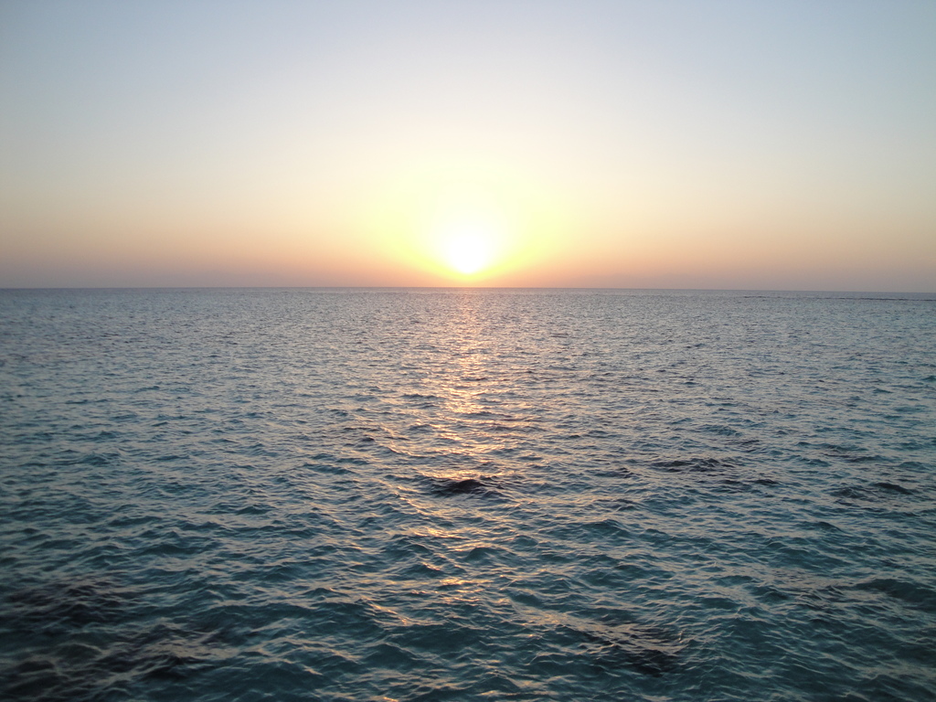 DSC00160.JPG