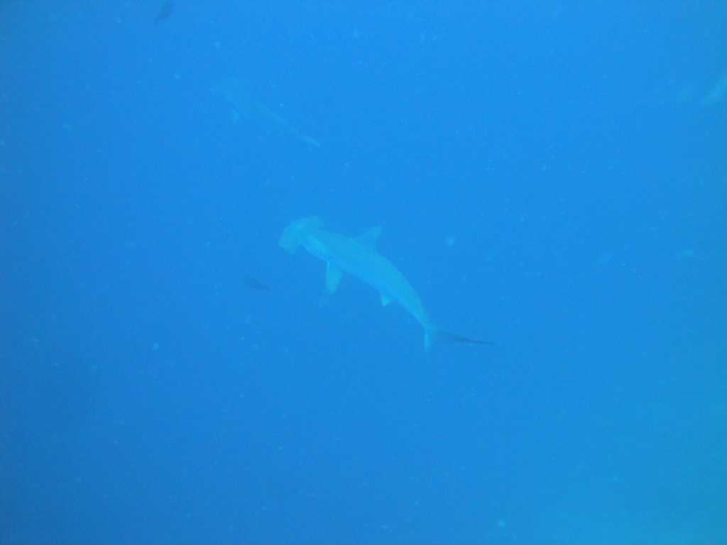 DSC00243.JPG