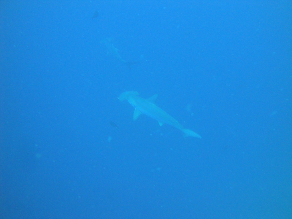 DSC00244.JPG