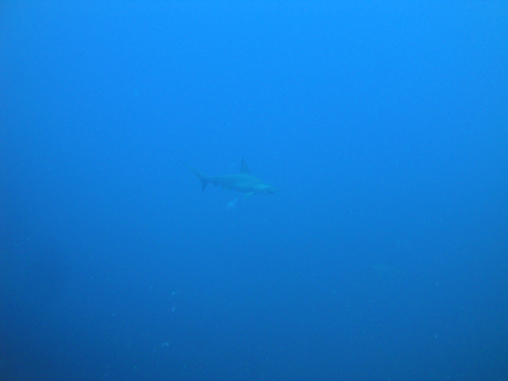DSC00264.JPG