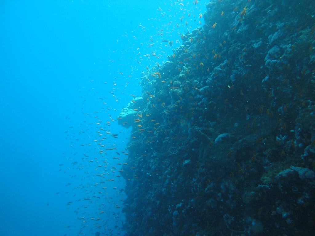 DSC00280.JPG