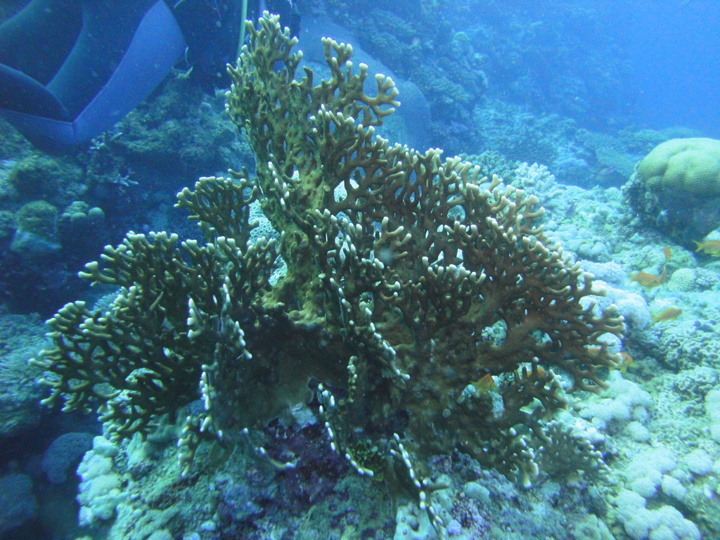 DSC00286.JPG